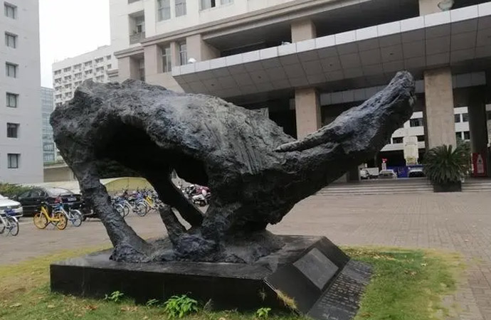 T~ğoĺζ